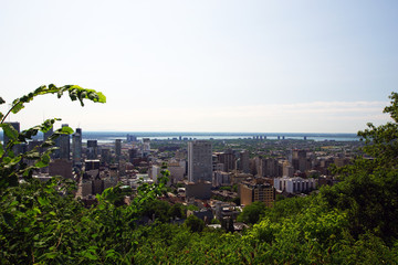 Fototapeta premium Montréal, balade au Mont Royal