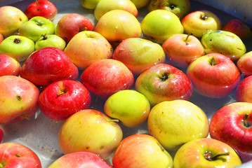Ukrainian bright and colorful, fresh apples plucked from a tree and lying with water for washing. Bright tasty background, natural food for health and beauty.