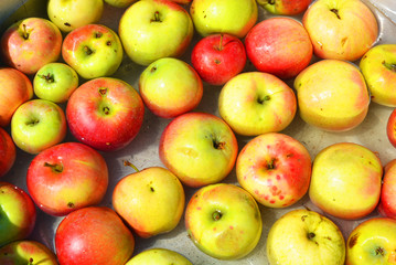 Ukrainian bright and colorful, fresh apples plucked from a tree and lying with water for washing. Bright tasty background, natural food for health and beauty.
