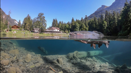 Fantastic panorama of blausee lake / Blausee, Switzerland. Picturesque summer in Swiss alps, Bernese Oberland, Europe. Beauty of nature with trout concept background. 
