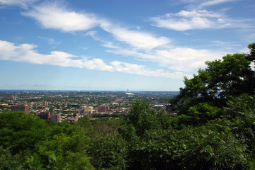 Fototapeta na wymiar Montréal, balade au Mont Royal