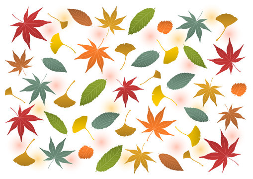53 772 Best 落ち葉 Images Stock Photos Vectors Adobe Stock 53 772 Best 落ち葉 Images Stock Photos Vectors Adobe Stock