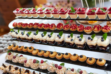 Fototapeta na wymiar Różnokolorowe ciastka , ciasteczka i torciki prezentowane na pokazach cukierniczych