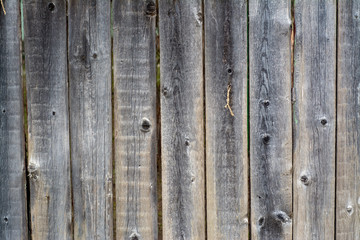 Background from wooden boards of natural color