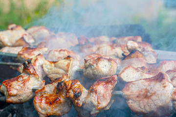 Pork roasted over the coals. Closeup of a barbecue with smoke in the foreground.