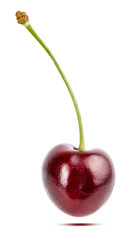 Cherry isolated on white background with clipping path