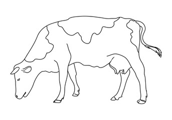 Cow, farm animal line icon.