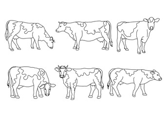 Cow, farm animal line icon.