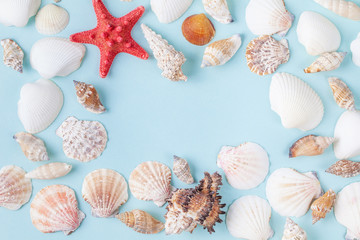 Frame from seashells and starfish on blue background. Vacation concept. Flat lay with shells. Top view. Copy space