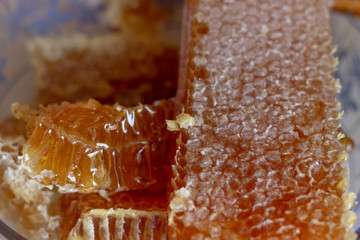 Yellow Honeycomb slice. Honey cell slice. Bowl with fresh honeycombs and honey. Cell slice with honey closeup. Cell slice with honey. Cell slice with yellow honey