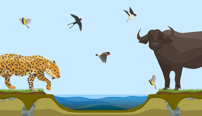 African animals at water place at savanna landscape vector illustration. Leopard or panthera and bull and flock of birds in sky coming to drink pure water.