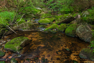 Fototapeta na wymiar Skrivan creek in Krusne mountains in summer nice sunny day