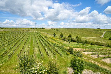 Ensheim im Sommer 2019
