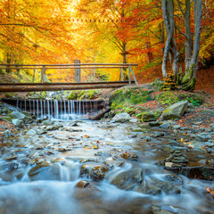 Autumn in forest park  - colorful trees, small wooden bridge and fast river with stones