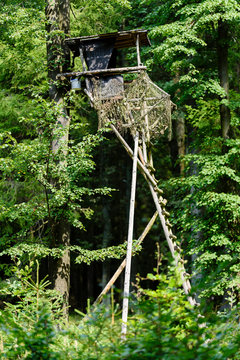 Wooden hunters high seat in forest, Czech Republic