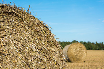 haystack on a village field on a sunny day