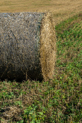 haystack on a village field on a sunny day