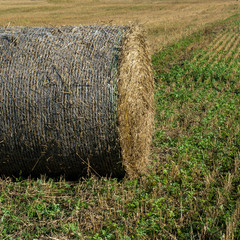 haystack on a village field on a sunny day