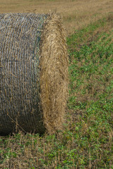 haystack on a village field on a sunny day