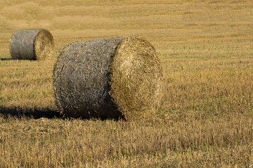 haystack on a village field on a sunny day