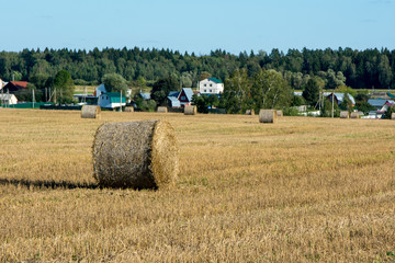 haystack on a village field on a sunny day