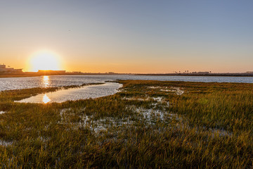 wetlands during sunset 