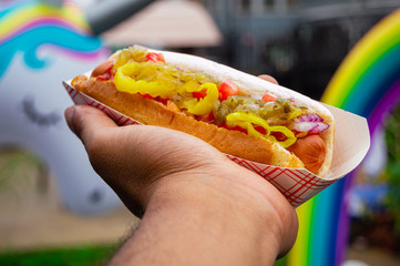 American 100% beef hot dog with toppings
