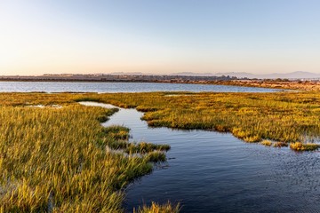 wetlands landscape with water and marsh during sunset - obrazy, fototapety, plakaty