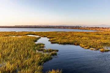 Foto op Plexiglas wetlands landscape with water and marsh during sunset © K KStock