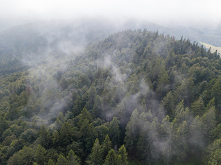 Schwarzwald aus der Luft