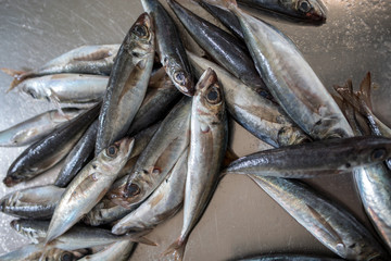 Obraz premium Fresh fish for sale at a fish market