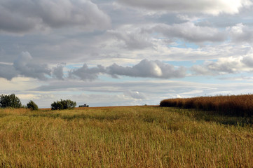 Fototapeta premium Summer landscape on the outskirts of the village