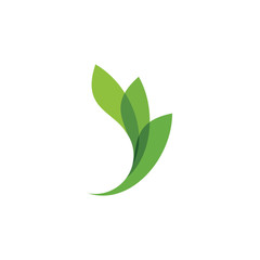 leaf logo template