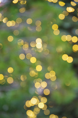 Full frame partial view of decorative lights in a tree blurred out of focus