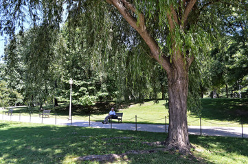 Man texting on park bench