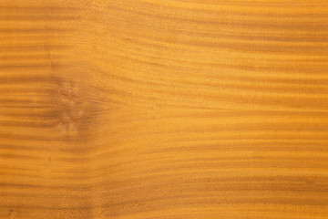 Teak Wood