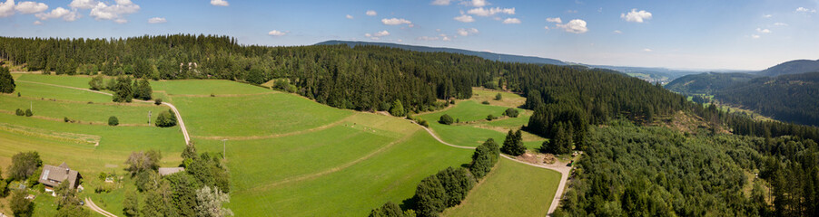 Fototapeta na wymiar Schwarzwald aus der Luft aus der Luft