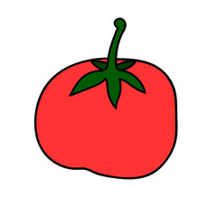 Cartoon doodle linear tomato isolated on white background. Vector illustration. 