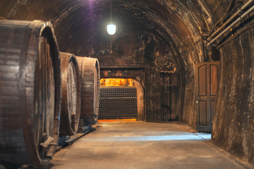 Wine cellar with old large oak barrels