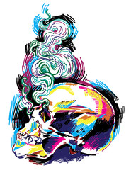 Human skull, colorful drawing, sketch. Skull, death, magic.