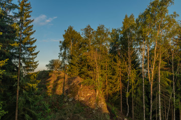 Sunrise in forest over Rotava town in Krusne mountains
