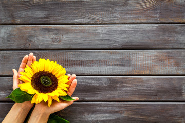 Sunflower in hands on wooden background top view mockup