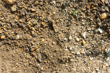 Ground and sand surface texture, terrain texture
