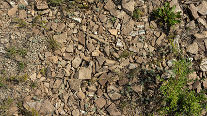 Ground and sand surface texture, terrain texture