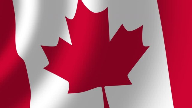 Canadian flag waving in the wind seamless loop background. Realistic Canadian Flag background. 4k