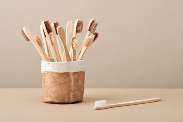 Wooden Eco Toothbrush in Brown Ceramic Cup