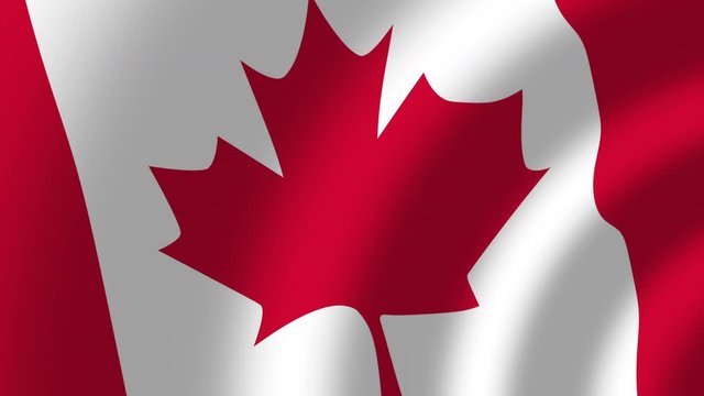 Canadian flag waving in the wind seamless loop background. Realistic Canadian Flag background. 4k