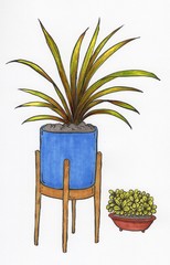 3_Hand coloured sketch illustration little plants for interior decoration.