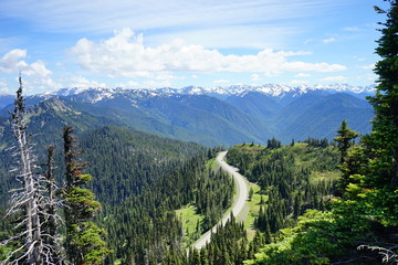 Beautiful snow capped mountains in Olympic National Park in summer in Washington, near Seattle