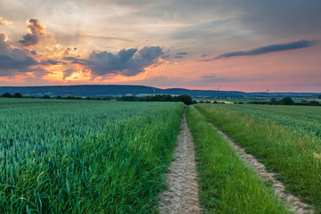 Fototapeta na wymiar The landscape in Low Saxony, Germany.